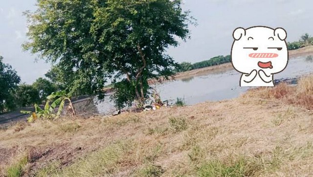 ทรัพย์น่าลงทุนซื้อเก็บได้กำไรไม่มีขาดทุน   ขาย ลาดหลุมแก้ว  คมนาคมสะดวกสบาย เหมะปลูกบ้านทำการเกษตรดินดีวิวสวย บ่อเงินปุทม ใกล้แหล่งน้ำเหมาะทำเกษตร  ใกล้ชุมชน 5ไร่  อำเภอลาดหลุมแก้ว ปทุมธานี ลาดหลุมแก้วไร่ละ 1ลบ. โทร 083-7124115