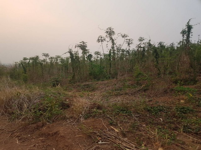 ทรัพย์น่าลงทุนซื้อเก็บได้กำไรไม่มีขาดทุน   ขาย ธรรมชาติเนินเขา ที่ดินโฉนดแบ่งขาย สวยๆ ท่ามกลางธรรมชาติหล่มเก่า ดินดีทำเกษตรงาม  ที่ดินดีสมบูรณ์ หล่มเก่า เพชรบูรณ์ ใกล้ภูทับเบิก โทร 0968821857