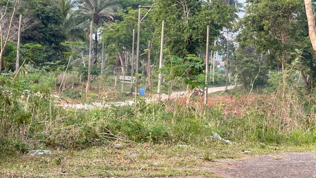 ทรัพย์น่าลงทุนซื้อเก็บได้กำไรไม่มีขาดทุน ขายใกล้ทะเลขายแบ่งแปลงเล็ก วาละ 6800 บาท  หาดผาฝั่งแดง UNSEEN THAILAND