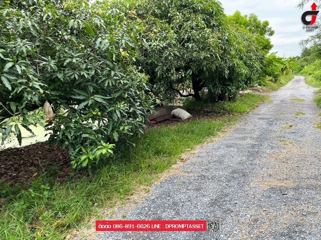 ขายด่วน ที่ดิน 4 ไร่ บางบอน 3 ซอย 8  ถนนกว้าง 8 เมตร