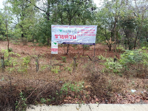 ขายที่ดินเปล่า 1  ไร่ ทำเลดี ติดถนนคอนกรีต มีรั้วล้อมรอบ ต.ตลาด อ.เมือง จ.นครราชสีมา 