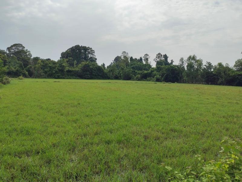 ขายที่ดิน นครนายก 13 ไร่ 63 ตรว. อ. บ้านนา ไร่ละ 1,200,000 บาท