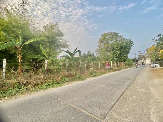 ขายด่วนที่ดินแปลงสวยพร้อมสวนผลไม้ 1 ไร่ 1 งาน 8.8 ตรว  จังหวัดขอนแก่น