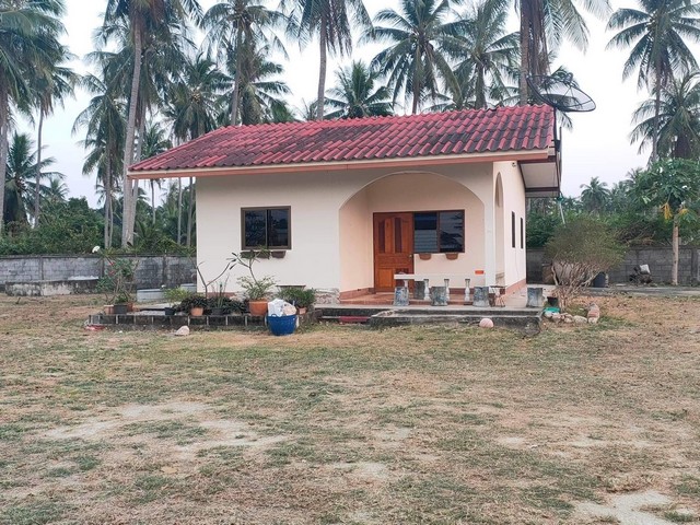 ขายบ้านพร้อมที่ดิน 327 ตารางวา อ.ทับสะแก จ.ประจวบคีรีขันธ์ ห่างจากถนนเพชรเกษม 50 เมตร