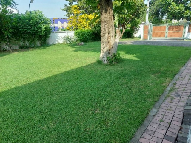 ขายบ้านเดี่ยว  233 ตร.วา   ‭‭หมู่บ้านเมืองทอง2/2‬    ซอยพัฒนาการ61‬  ประเวศ กรุงเทพมหานคร    ZT358