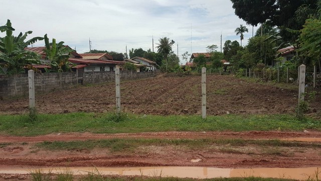 ให้เช่าบ้านเดี่ยว 2 ชั้นหลังมุม 67 ตรว หมู่บ้านภัสสร เพรสทีจ ลุกซ์ พัฒนาการ 44 ใกล้ทางด่วน ใกล้เอกมัย ทองหล่อ