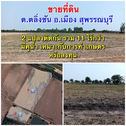 ขายที่ดินสวยราคาถูกใกล้แหล่งท่องเที่ยว ฟาร์มดอกไม้ DD Flower Farm อ.เมืองสุพรรณบุรี บรรยากาศดีการเดินทางสะดวกเหมาะแก่การลงทุน