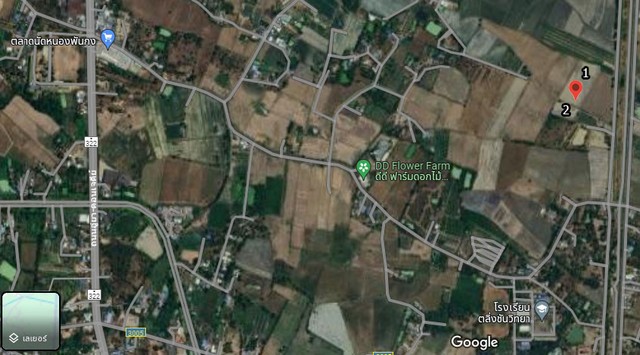 ขายที่ดินสวยราคาถูกใกล้แหล่งท่องเที่ยว ฟาร์มดอกไม้ DD Flower Farm อ.เมืองสุพรรณบุรี บรรยากาศดีการเดินทางสะดวกเหมาะแก่การลงทุน