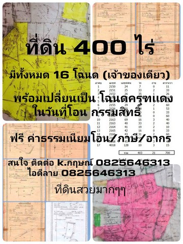 ขายที่ดิน 400 ไร่  นส3ก  พร้อมเปลี่ยนเป็นโฉนดครุฑเเดง อำเภอเนินขาม จังหวัดชัยนาท