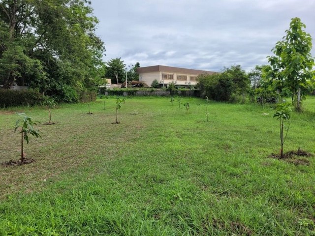 ที่ดินสวน โซนหน้า เวิร์ดคลับแลนด์ หองควาย หางดง       