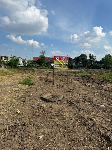 ขายที่ดิน 255 ตารางวา ซอยเฉลิมพระเกียรติ ร.9 ซอย 6   พระโขนง  กรุงเทพมหานคร   ZT361