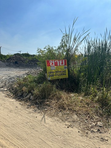 ขายที่ดิน 100 ตารางวาซอยพัฒนาการ97  ประเวศ กรุงเทพ   ZT360 