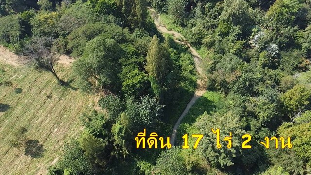 ขายที่ดิน 17 ไร่ 2 งาน เจ้าของขายเอง  ตำบลสวนผึ้ง อำเภอสวนผึ้ง จังหวัดราชบุรีที่ตั้ง :  ตำบลสวนผึ้ง อำเภอสวนผึ้ง จังหวัดราชบุรีhttps://maps.app.goo.gl/A64VxNzpQKR1bmy96ขนาดพื้นที่ :  17 ไร่ 2 งาน รายละเอียดที่ดิน 17 ไร่ 2 งาน อยู่ในเขตเทศบาลสวนผึ้ง หลังวัดบ้านบ่อ มีลำธารล้อมรอบ ภายในพื้นที่มีต้นไม้ ใหญ่เล็ก หลากหลายสายพันธุ์ สถานที่ใกล้เคียง ที่ว่าการอำเภอสวนผึ้งสถานีตำรวจสวนผึ้งตลาดสวนผ