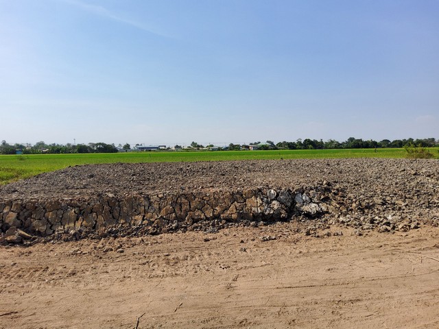 ให้เช่าที่ดินว่างเปล่าถมแล้ว 130 ตารางวา ถนนคลองเก้า แขวงคลองสิบ เขตหนองจอก กรุงเทพฯ