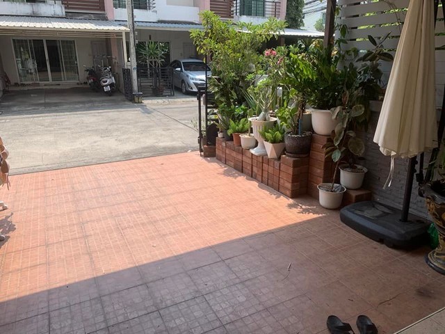 ให้เช่าทาวโฮมโครงการมายเพลส อ่อนนุช 17 แยก 16   รถไฟฟ้า BTS อ่อนนุช ย่านสุขุมวิท อ่อนนุช สวนหลวง