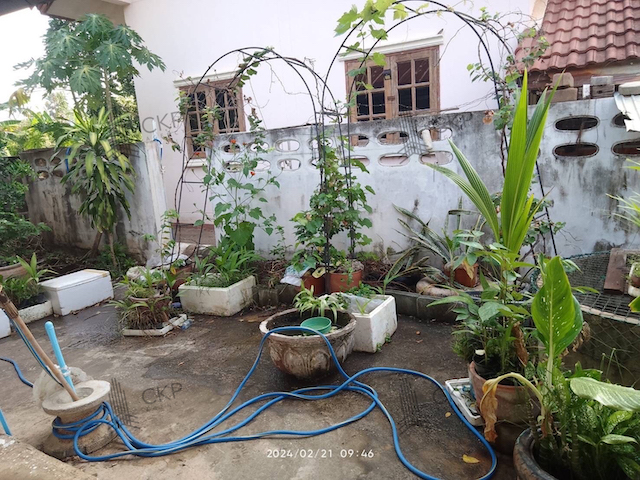 ขาย บ้านเดี่ยว ใกล้ห้างสรรพสินค้าหลายแห่งและแหล่งชุมชน เดินทางง่าย