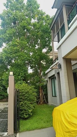 EPL-HR3234 ให้เช่า-ขายบ้านเดี่ยว 3 ชั้น  โครงการภัสสร วงแหวน-รามอินทรา เนื้อที่ 65 ตรว. 5 ห้องนอน 6 ห้องน้ำ เฟอร์นิเจอร์ Built in ทั้งหลัง