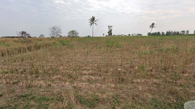 ขายที่ดินผังม่วงลายที่ดินแหล่งพัฒนา EEC  อ.หนองใหญ่ ชลบุรี 51 ไร่