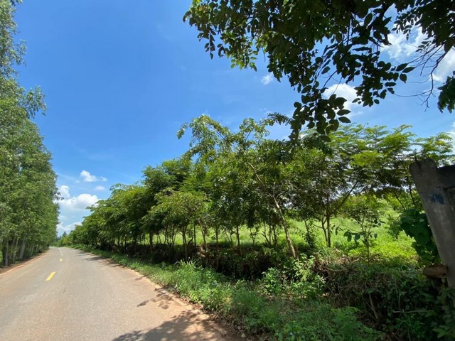 ที่ดิน ที่ดิน ศรีมหาโพธิ ปราจีนบุรี 130 Rai 2 NGAN 94 ตาราง-วา  ใกล้ สวนอุตสาหกรรม 304 ราคา งามๆ ปราจีนบุรี