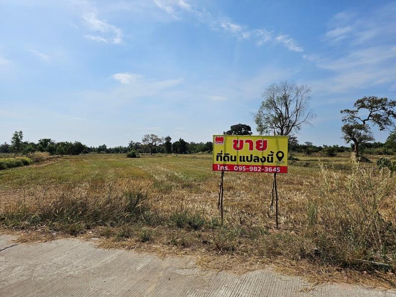 ขายที่ดินทำนา 5-3-81.3ไร่ สุวรรณภูมิ ร้อยเอ็ด ห่างจากอำเภอเมืองสุวรรณภูมิ 2 กม.