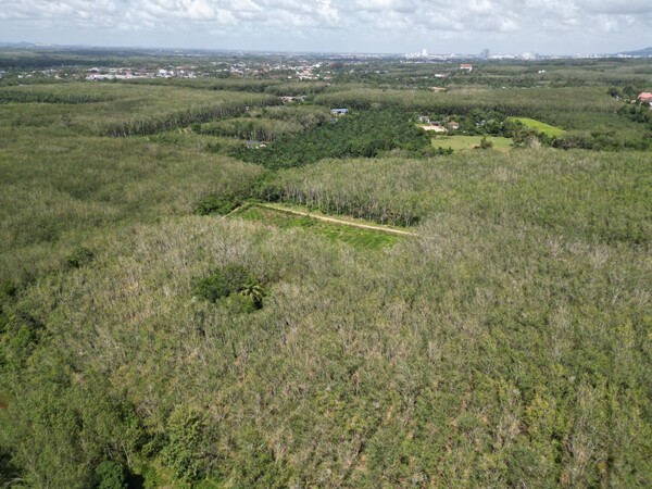 รหัสทรัพย์ : M-7773ที่ตั้ง : บ้านพรุ หาดใหญ่ สงขลาประเภททรัพย์ : ที่ดิน ทำสวนยางเนื้อที่ : 33 ไร่ทิศ : ตะวันออก/เหนือหน้ากว้าง : 248 เมตร ลึก : 1062 เมตร สอบถามรายละเอียดเพิ่มเติมได้ค่ะภาสกร (ตั้ม) 099-978-7962https://line.me/ti/p/_8snjm32X4ธนภร (ฟลุ๊ค) 095-982-3645https://line.me/ti/p/L8MIA9FGhDฝากขาย-เช่า บ้าน ที่ดิน คอนโด โกดัง อาคาร อสังหาฯ ทุกประเภท นะคะบริษัท เรียลตี้วัน เอสเตท (ประเทศไทย) จำกัดRealty One Estate(Thailand) Co.,Ltdศูนย์บริการรับฝากขาย 