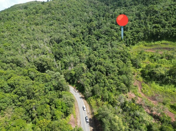  รหัสทรัพย์ : M-7775ที่ตั้ง : บ้านพรุ หาดใหญ่ สงขลาประเภททรัพย์ : ที่ดิน นส.3กเนื้อที่ : 29-2-88.7 ไร่ทิศ : ตะวันออกเพิ่มเติม : ทางเข้าติดถนนดำ กว้าง 10เมตรสถานที่ใกล้เคียง :– ใกล้อำเภอเมือง– ใกล้สนามกอล์ฟ สอบถามรายละเอียดเพิ่มเติมได้ค่ะภาสกร (ตั้ม) 099-978-7962https://line.me/ti/p/_8snjm32X4ธนภร (ฟลุ๊ค) 095-982-3645https://line.me/ti/p/L8MIA9FGhDฝากขาย-เช่า บ้าน ที่ดิน คอนโด โกดัง อาคาร อสังหาฯ ทุกประเภท นะคะบริษัท เรียลตี้วัน เอสเ