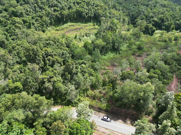 ขายที่ดิน นส.3ก ทำสวนยาง 29-2-88.7ไร่ หาดใหญ่ สงขลา