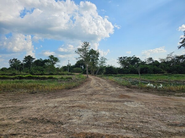  M7776ขายที่ดิน 16 ไร่ วัฒนานคร สระแก้วทิศ : เหนือหน้ากว้าง : 200 เมตร ลึก : 160 เมตรจุดเด่น : ติดถนนสาธารณะประโยชน์กว้าง 6 เมตร , ใกล้อำเภอเมืองผังสี : ชมพู (ชุมชน,คมนาคมขนส่ง)สถานที่ใกล้เคียงปั๊มPTTมหาวิทยาลัยบูรพามหาวิทยาลัยสระแก้วโรงพยาบาลวัฒนานครสถานีตำรวจ———————————————สอบถามรายละเอียดเพิ่มเติมได้ค่ะภาสกร (ตั้ม) 099-978-7962https://line.me/ti/p/_8snjm32X4ธนภร (ฟลุ๊ค) 095-982-3645https://line.me/ti/p/L8MIA9FGhDฝากขาย-เช่