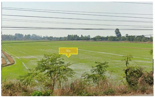 ขายที่ดินติดถนนเส้นรังสิต-นครนายก ผังเมืองสีชมพู-เขียว