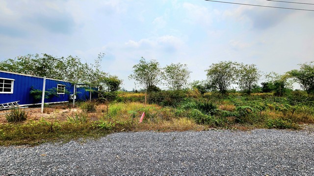 ขายที่ดิน คลอง 15 องครักษ์ ย่านตลาดค้าขายต้นไม้ 100 ตรว  เป็นที่ดินเปล่าถมแล้วบางส่วน เหมาะปลูกบ้าน ทำสวน ทำการเกษตรเล็กๆ