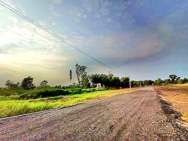 ขายที่ดินองครักษ์ คลอง 15 (ตลาดขายต้นไม้)ขายราคา 540,000-1,200,000 บาท ( มีเนื้อที่ 100 -137 ตรว ) *( มีขายราคาเงินสด-เงินผ่อน )ขายที่ดิน คลอง 15 องครักษ์ ย่านตลาดค้าขายต้นไม้ 100 ตรว  เป็นที่ดินเปล่าถมแล้ว เหมาะปลูกบ้าน ทำสวน ทำการเกษตรเล็กๆ หรือเก็บซื้อไว้เก็งกำไรในอนาคตได้ที่ตั้ง :  คลอง 15  อำเภอองครักษ์ นครนายก 26120แปลงที่ดิน 100 ตรว ถมแล้ว-  กว้าง 17.87 ม. ติดถนนหินคลุก *เป็นถนนสาธาณป