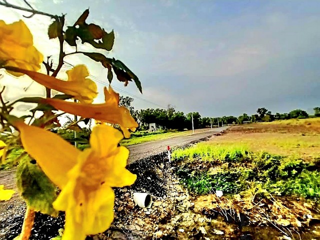 ขายราคา 540,000-1,200,000 บาท ( มีเนื้อที่ 100 -137 ตรว ) *( มีขายราคาเงินสด-เงินผ่อน )