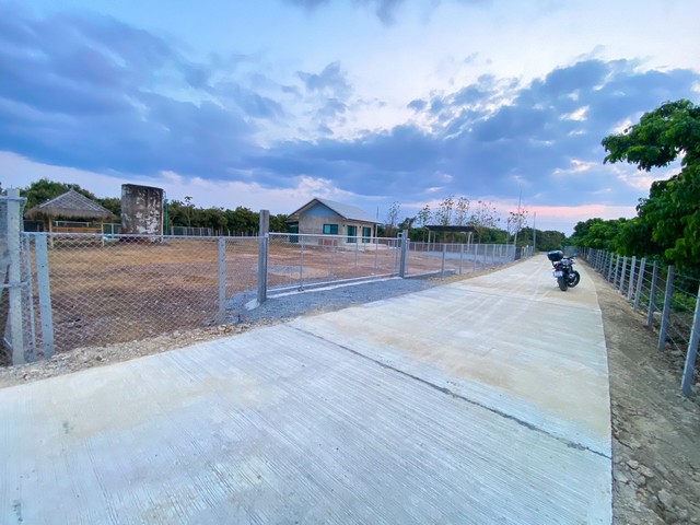 ขายที่ดิน 2งาน 699,000บาท ฟรีโอน ถม รั้ว ถนน ไฟฟ้า ประปา ต.ท่าวังพร้าว อ.สันป่าตอง เชียงใหม่