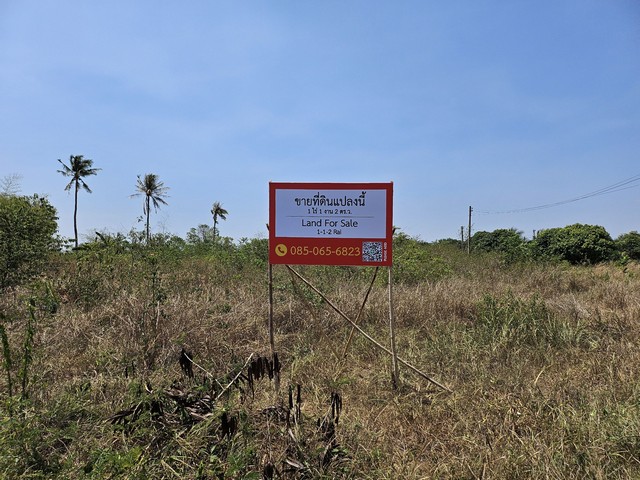 ขายด่วน ที่ดินสวย 1 ไร่ 1 งาน 2 ตารางวา ตำบลหินเหล็กไฟ อำเภอหัวหิน จังหวัดประจวบคีรีขันธ์