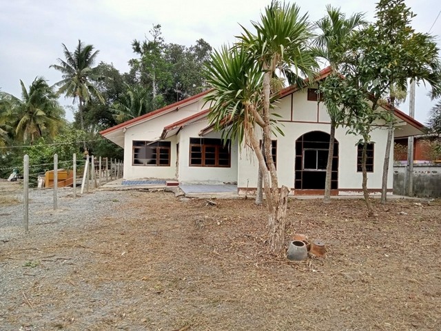 รายละเอียดเพิ่มเติมCode ID : PAP-6-0040ราคาขาย      992,000 บาท- ขนาดพื้นที่ : 167 ตร.ว (1 งาน / 67 ตร.ว)- พื้นที่ใช้สอย : 184.50 ตรม- จำนวนห้อง : - ห้องนอน - ห้องน้ำ- ที่จอดรถ : 1-2 คัน- บ้านเดี่ยว : 1 ชั้น- บ้านเดี่ยวหันทางทิศ : -พิกัดทรัพย์ :     https://maps.app.goo.gl/WXFhRAaTLbKxR5jB7สถานที่ใกล้เคียง- ใกล้วัดโภคาราม (วัดดอนคา)- ใกล้โรงเรียนดอนคาวิทยา- ใกล้โรงเรียนวัดราษฎร์ศรัทธาธรรม- ใกล้วัดขวางศรีสุวรรณสอบถามเพิ่มเติม/นัดชมโทร. 097-419