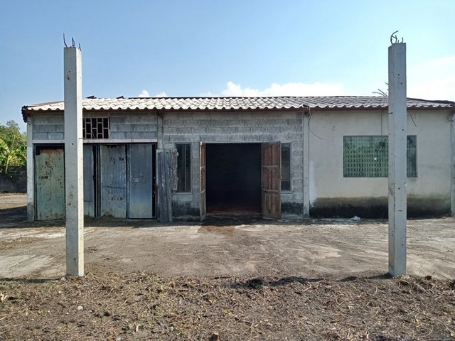 รายละเอียดเพิ่มเติมCode ID : PAP-6-0624 ราคาขาย    577,000 บาท- ขนาดพื้นที่ :  200 ตร.ว (2 งาน) - พื้นที่ใช้สอย :   525.50 ตรม- จำนวนห้อง : - ห้องนอน - ห้องน้ำ- ที่จอดรถ :   1-2 คัน- บ้านพร้อมที่ดินและสิ่งปลูกสร้าง  :    1 ชั้น- บ้านพร้อมที่ดินและสิ่งปลูกสร้างหันทางทิศ : -พิกัดทรัพย์ :     https://maps.app.goo.gl/aX47sTRN4hYeurso6สถานที่ใกล้เคียง- ใกล้วัดป่าพระเจ้า สุพรรณบุรี- ใกล้วัดใหม่คลองชะอม- ใกล้วัดใหม่คลองชะอม- ใกล้วัดมงคลธรรมนิ�