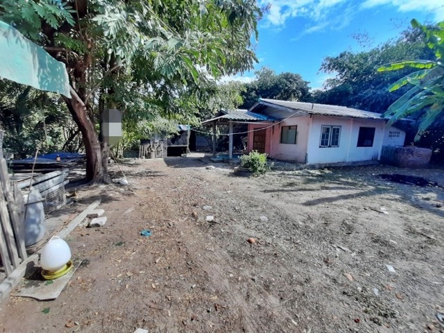 รายละเอียดเพิ่มเติมCode ID : PAP-4-0390  ราคาขาย    555,000 บาท- ขนาดพื้นที่ :  250 ตร.ว (2 งาน / 50 ตร.ว) - พื้นที่ใช้สอย :   899.50 ตรม- จำนวนห้อง : - ห้องนอน - ห้องน้ำ- ที่จอดรถ :   1-2 คัน- บ้านพร้อมที่ดินและสิ่งปลูกสร้าง  :    1 ชั้น- บ้านพร้อมที่ดินและสิ่งปลูกสร้างหันทางทิศ : -พิกัดทรัพย์ :     https://maps.app.goo.gl/keXwEoVnRikrUeqp8สถานที่ใกล้เคียง- ใกล้วัดรางกร่าง- ใกล้วัดศรีสำราญ- ใกล้โลตัส โกเฟรช ซูเปอร์มาร์เก็ต สองพี่น้อง- ใกล้ตล