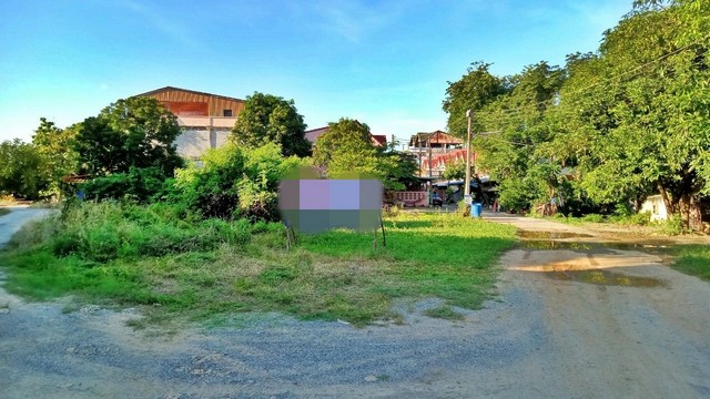 ขายที่ดิน   เมืองสิงห์บุรี  สิงห์บุรี (PAP-4-0118 )