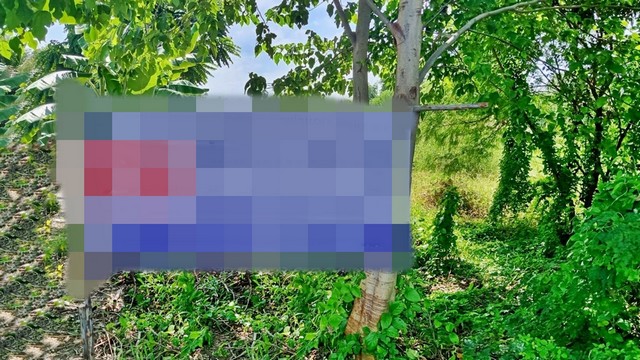 ขายที่ดิน  ตำบลสร่างโศก อำเภอบ้านหมอ สระบุรี  (PAP-4-0530)