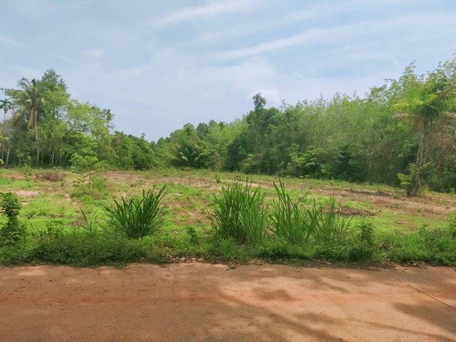 ที่ดินใกล้ถนนสุขุมวิทวิวเขาเขตซากพง เมืองแกลงไร่ละ 1.68 ล้านเท่านั้น