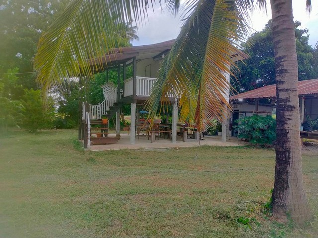 ขายที่ดินบ้านสวนวัดพริก ถนนพิษณุโลก- บางกระทุม ห่างจากอบต.วัดพริกเพียง 200 เมตร มีน้ำไฟพร้อม เดินทางสะดวก แหล่งชุมชน ในเมืองพิษณุโลก