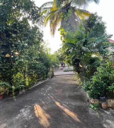 หลิน 088 598 6998 Line ID: positive.agขายถูก 5 ลบ.*ขายที่ดินพร้อมบ้าน ขนาด 86 ตร.วใจกลางเมือง ทำเลหลังตลาดสด หนองหอยใกล้สิ่งอำนวยความสะดวก.ที่ตั้ง: ต.หนองหอย อ.เมือง จ.เชียงใหม่ขนาดที่ดิน: 89 ตารางวาบ้าน: บ้านชั้นเดียว 2 ชั้นสิ่งปลูกสร้าง: มีพื้นสวน กว้างขวาง รอบบ้านราคา: 5,000,000 บาท (ราคาต่ำกว่่าตลาด).ทำเลสะดวก: ใกล้ตลาดสดหนองหอย ร้านสะดวกซื้อ โรงเรียน และโรงพยาบาล- โรงแรมเซ็นทารา ริเวอร์ไ