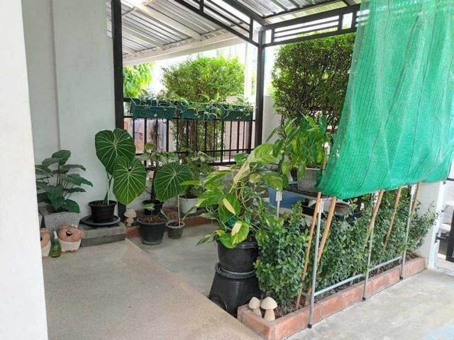 ขายทาวน์โฮม พฤกษาทาวน์ เน็กซ์ เพชรเกษม81หลังมุม ถ.มาเจริญ