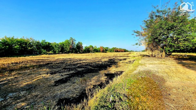 ขายที่ดินพร้อมบ้านติดถนนลาดยางเรียบ คลอง 12 หนองเสือ 5 ไร่ ติดถนน 3 ด้าน ทำเลเหมาะค้าขาย เหมาะทำโกดัง อยู่ใกล้แหล่งชุมชน