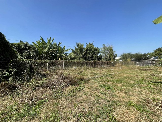 ที่ดินใกล้กาดเจริญเจริญ เข้าออกได้ หลายทางใกล้ถนน 1317 เพียง 1.6 กม. หรือเข้าทาง ถนนวงแหวน เพียง 1 กม. ติดถนนสาธารณะ 3 ด้าน สามารถแบ่งแปลงขายได้  หรือสร้างบ้านขาย พื้นที่ 200 ตารางวา ขายยกแปลง ตารางวาละ 13,500 บาท ค่าโอนคนละครึ่ง  สนใจติดต่อ 094.2893646 มัสรับสายค่ะ