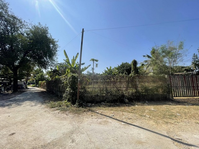 ขายที่ดินใกล้แยกกาดเจริญเจริญ ห่างถนน1317 เพียง 1.6 กม.