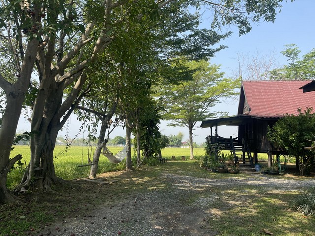 ขายรีสอร์ทแม่ริมทำเลไม่ไกลจากถนนหลวงและตัวแม่ริมวิวทุ่งนารายล้อมราคาดี