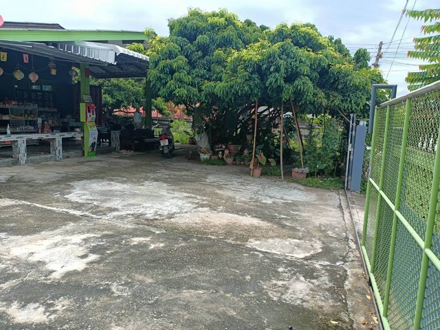 ขายบ้านชั้นเดียว 1งาน22ตรว. 2นอน3น้ำ 1.5ลบ. หมู่บ้านสบแจ่ม ต.บ้านแปะ อ.จอมทอง เชียงใหม่