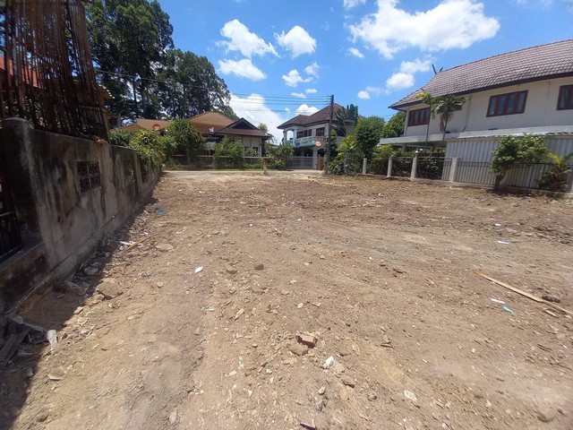 ขายที่ดิน 98ตรว. 1.4ลบ. ฟรีโอน ใกล้ถนนต้นยาง 20ม. ต.สารภี อ.สารภี เชียงใหม่