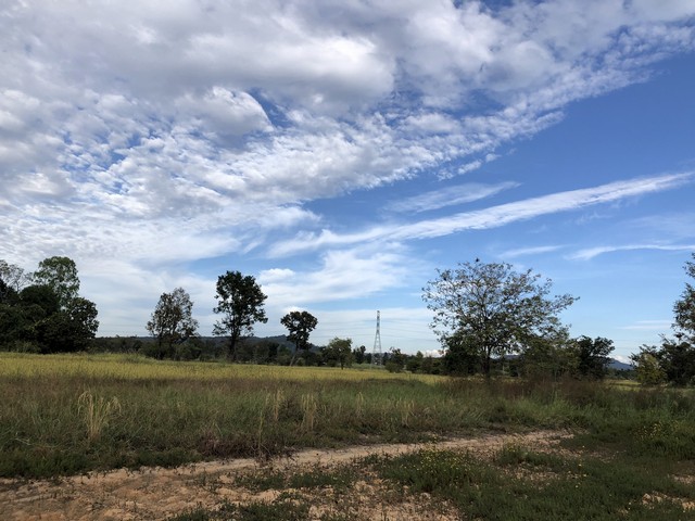 ขายที่ดิน 3 ไร่ 3 งาน 39 ตารางวา ตำบลกุดแห่ อำเภอเลิงนกทา จังหวัดยโสธร 35120ที่ตั้ง : ตำบลกุดแห่ อำเภอเลิงนกทา จังหวัดยโสธร 35120https://maps.app.goo.gl/QEUbzwTnF4Dhy8xM7ขนาดพื้นที่ : 3 ไร่ 3 งาน 39 ตารางวารายละเอียดไฟฟ้า ประปา พร้อมอยู่ในชุมชน มีเพื่อนบ้านเอกสารฉโนดสถานที่ใกล้เคียง  ปั๊มน้ำมัน PT  ร.ร. บ้านนาโพธิ์อ่างสร้างหินสถานีเลิงนกทา (รถไฟทางคู่)โรงแรมภูดินวัดป่าสุนทรารามโรงเรียนบ้านด่านเจ้